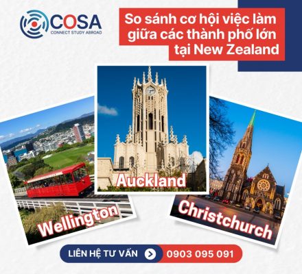 So sánh cơ hội việc làm giữa các thành phố lớn tại New Zealand: Auckland, Wellington hay Christchurch?