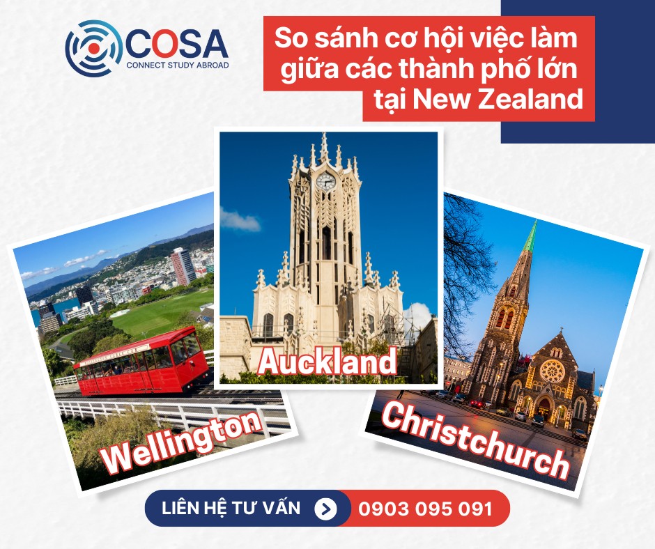 So sánh cơ hội việc làm giữa các thành phố lớn tại New Zealand: Auckland, Wellington hay Christchurch?